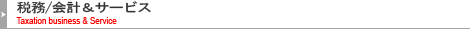 税務会計サービス